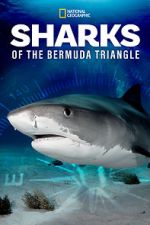 Watch Sharks of the Bermuda Triangle (TV Special 2020) Megavideo