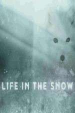 Watch Life in the Snow Megavideo