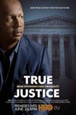 Watch True Justice: Bryan Stevenson\'s Fight for Equality Megavideo