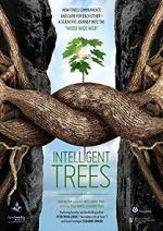 Watch Intelligent Trees Megavideo