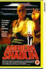 Watch American Shaolin Megavideo