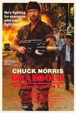 Watch Braddock: Missing in Action III Megavideo