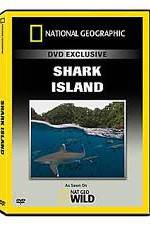 Watch National Geographic: Shark Island Megavideo