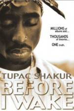 Watch Tupac Shakur Before I Wake Megavideo