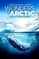 Watch Wonders of the Arctic 3D Megavideo