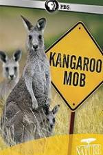 Watch Kangaroo Mob Megavideo