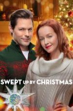 Watch Swept Up by Christmas Megavideo