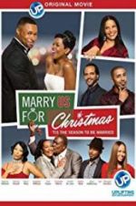 Watch Marry Us for Christmas Megavideo