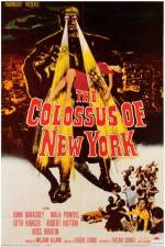 Watch The Colossus of New York Megavideo