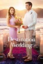 Watch Destination Wedding Megavideo