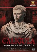 Watch Caligula: 1400 Days of Terror Megavideo