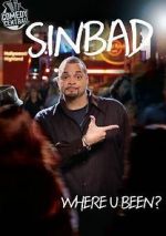 Watch Sinbad: Where U Been? Megavideo
