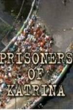 Watch Prisoners of Katrina Megavideo