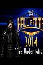 Watch WWE Hall Of Fame 2014 Megavideo