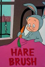 Watch Hare Brush (Short 1955) Megavideo
