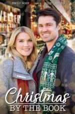 Watch Matchmaker Christmas Megavideo