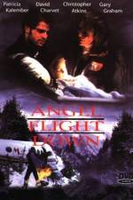 Watch Angel Flight Down Megavideo