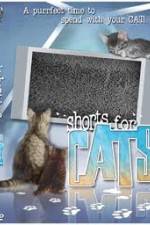 Watch Shorts for Cats Megavideo