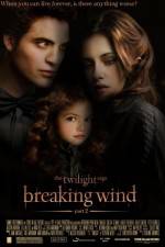 Watch Breaking Wind Megavideo