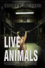 Watch Live Animals Megavideo