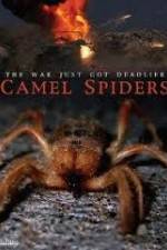 Watch Camel Spiders Megavideo