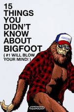 Watch 15 Things You Didn\'t Know About Bigfoot (#1 Will Blow Your Mind) Megavideo