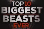 Watch Top 10 Biggest Beasts Ever Megavideo