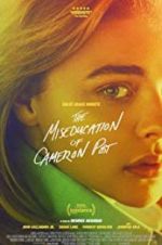 Watch The Miseducation of Cameron Post Megavideo