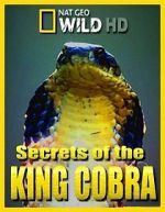 Watch Secrets of the King Cobra Megavideo