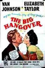 Watch The Big Hangover Megavideo