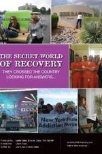 Watch The Secret World of Recovery Megavideo