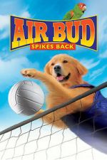 Watch Air Bud: Spikes Back Megavideo