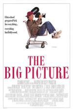 Watch The Big Picture Megavideo