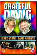 Watch Grateful Dawg Megavideo