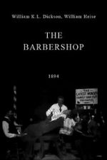 Watch The Barbershop Megavideo