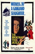 Watch Twelve Hours to Kill Megavideo