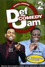 Watch Def Comedy Jam All-Stars Vol. 2 Megavideo