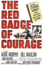 Watch The Red Badge of Courage Megavideo