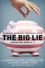 Watch American Addict 2 The Big Lie Megavideo