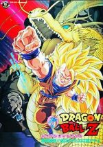 Watch Dragon Ball Z: Wrath of the Dragon Megavideo