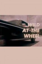 Watch Wild at the Wheel Megavideo