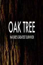 Watch Oak Tree Natures Greatest Survivor Megavideo