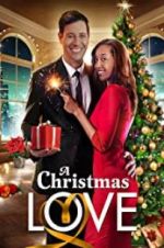 Watch A Christmas Love Megavideo