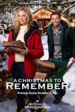 Watch A Christmas to Remember Megavideo