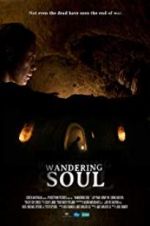 Watch Wandering Soul Megavideo