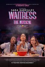 Watch Waitress: The Musical Megavideo