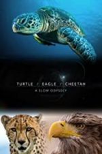 Watch Turtle, Eagle, Cheetah: A Slow Odyssey Megavideo