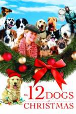 Watch The 12 Dogs of Christmas Megavideo