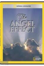 Watch National Geographic Explorer - The Angel Effect Megavideo