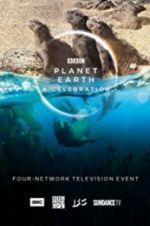 Watch Planet Earth: A Celebration Megavideo